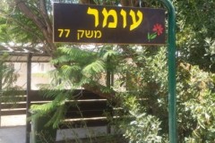 שלט חרוט בעץ
