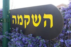 שלט חרוט בעץ