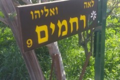 שלט חרוט בעץ