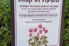 שלטי אלומיניום