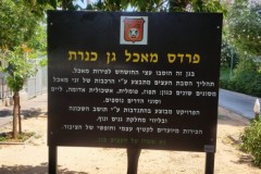 שלט לגן כנרת בחריטה בעץ
