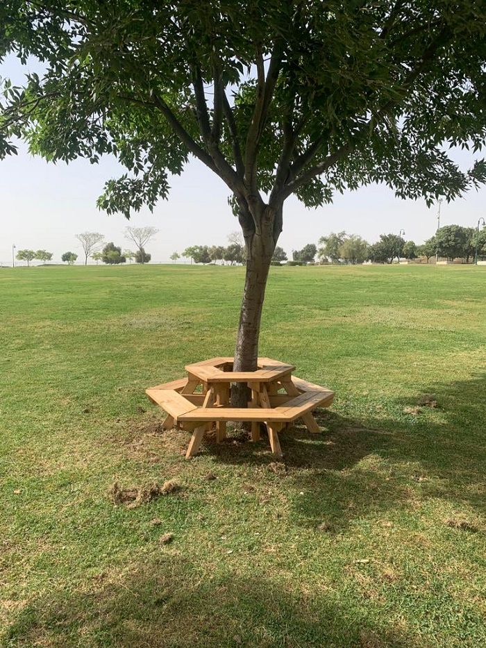שולחנות סביב עצים