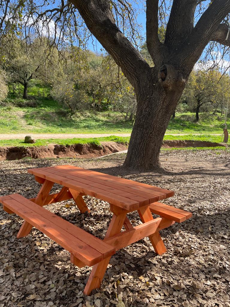 שולחנות קק"ל יפים וחזקים