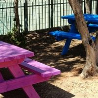 שולחנות קק"ל ציבעונים לבי"ס פינס גדרה