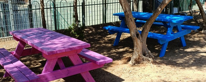 שולחנות קק"ל ציבעונים לבי"ס פינס גדרה