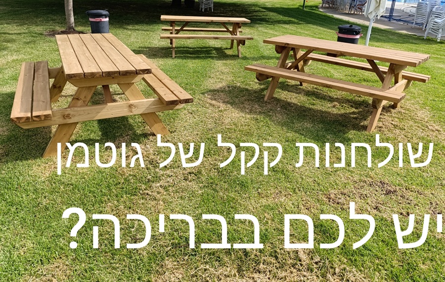 שולחנות עץ לבריכה